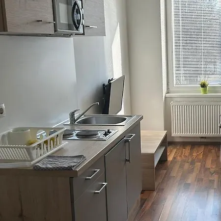Apartment Moskovic *