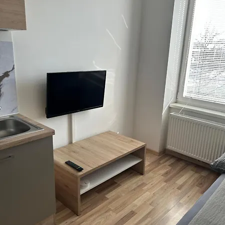 Moskovic Apartment Graz