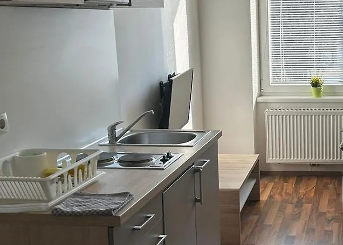 Appartement Moskovic *