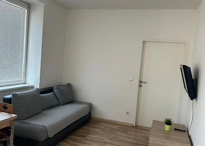 Appartement Moskovic *